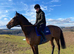 Vango - Safe & sensible ride