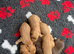 Cocker spaniel