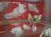 Beautiful breeding pair of pineapple conures