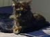 Gabii looking for her forever 5 star home*!