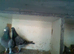 for sale pair of race pigeons