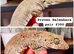 Gargoyle geckos, pine island chahouas and halmahera geckos