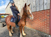 Roo 13.2hh Cob Cross Mare, 3 Years Old