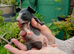 Baby Skinny Pigs
