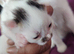 Need Rehoming as soon as possible