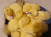 Various muscovy ducklings