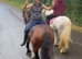 Gorgeous 14.1h bay ride and drive cob mare