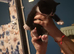 Beautiful Maine Coon x Bombay Kittens Ready Soon