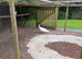 Mature white peahen