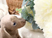 Miniature dachshund puppies