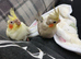 Cockatiels hand reared