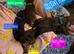 **7 dashounds**