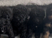 Gorgeous mini poodles ready for there new family