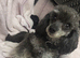 beautiful boy and girl available!