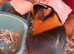 3 female guinea pigs