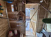 Wanted - birds to be rehomed