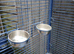Large parrot cage
