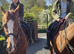 16.1hh chestnut mare