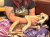 Whippet Puppies