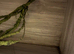 4ft x 2ft Viv in excellent condition