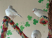 Young unsexed canaries