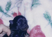 Kc pom puppies