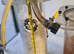 Avast ozone Reactor