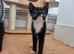 Black and Tuxedo Kittens