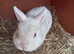Beautiful white boy looking for a forever home