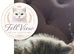 Stunning GCCF BSH Kittens Ready Now