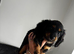Beautiful Miniature Dachshund Puppies
