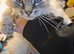 Male ragdoll urgent