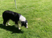 Really Beautiful Four Yr Old Male