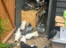 I have mix nice healthy breading pigeons sale