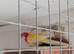 2 Rosellas for sale, 1 rubino and 1 lutino