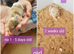 5 adorable bunny rabbit