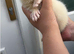 1/2 micro ferret hobs
