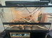 3ft exoterra Viv & stand