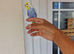 Super silly hand tamed baby budgies