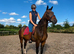 Family horse