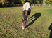 British warmblood filly