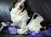 Basset girl