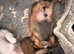 Puppies