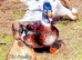 Trios Crested Bantam Ducks aka Crested Miniature Appleyard
