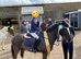 Black Welsh x 12hh ish Gelding