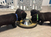 Staffador/ labrastaff pups for sale