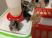 Silkie chicks