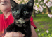 Beautiful Kittens
