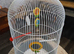 Bird cage new