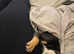Mixed breed 8weeks old puppy